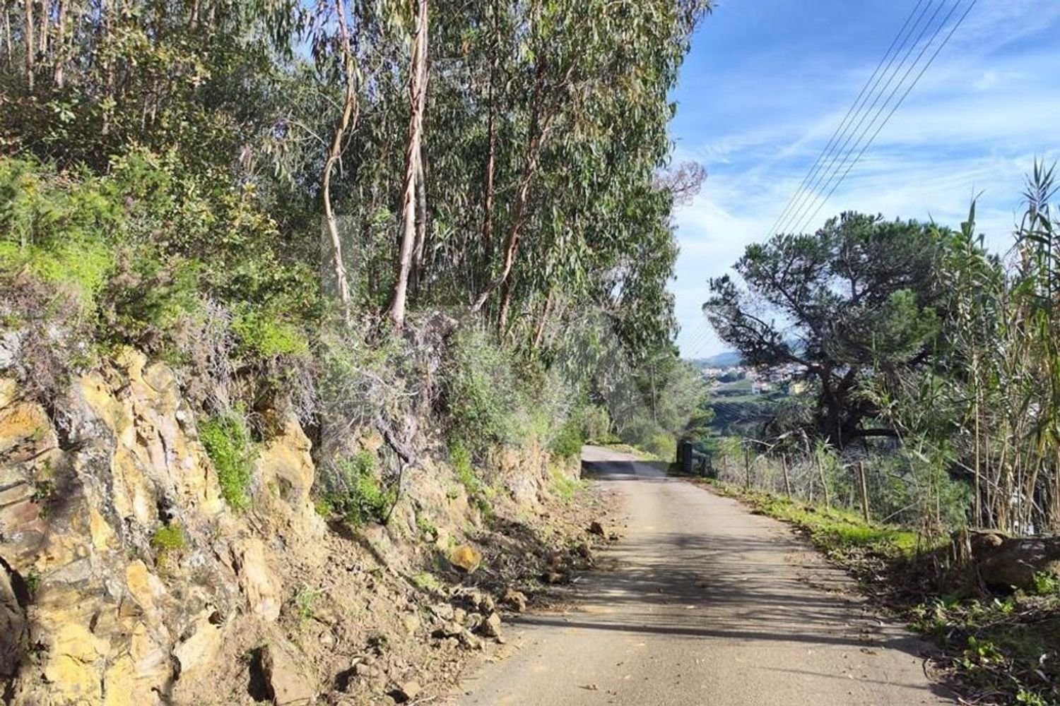 3562m² Land in Mafra, Portugal No. 64251