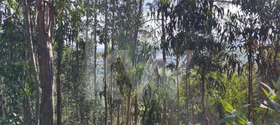 3562m² Land in Mafra, Portugal No. 64251 12