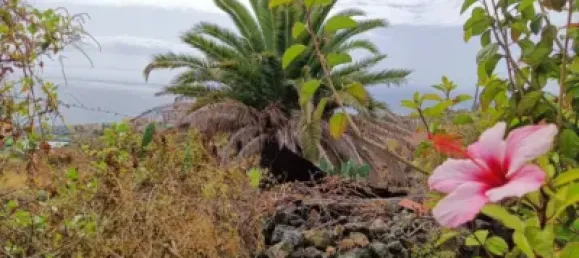 4 bedrooms House in La Palma, Spain No. 169495 31