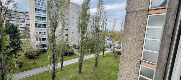 3 rooms Apartment in Wiener Neudorf, Austria No. 51675 2