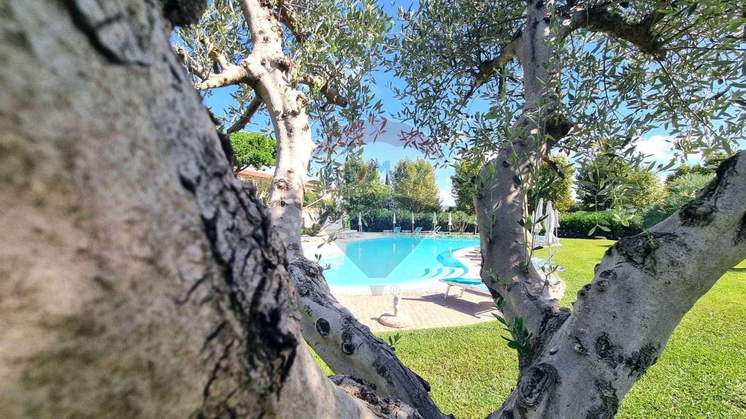 2 bedrooms Apartment in Cecina, Italy No. 359232