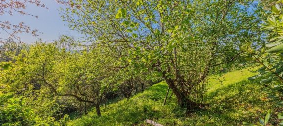 Villa T4 em Montaione, Italy N.º 79788 11