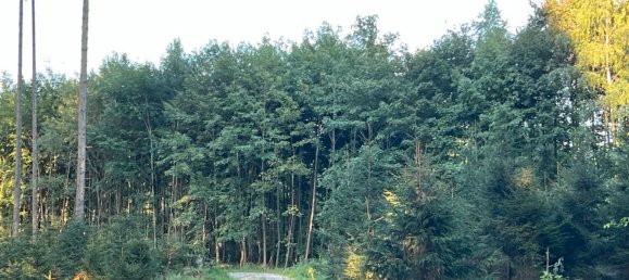 قطعة أرض في Landsberg am Lech, Germany رقم 314628 2