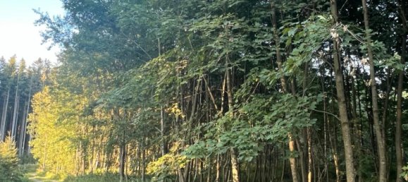 قطعة أرض في Landsberg am Lech, Germany رقم 314628 3