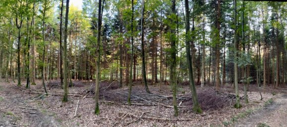 قطعة أرض في Landsberg am Lech, Germany رقم 314628 7