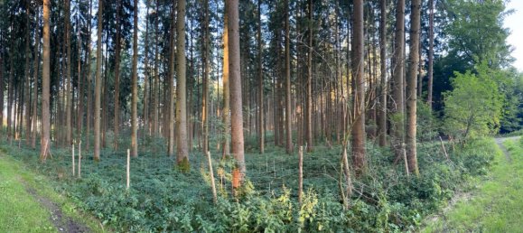 قطعة أرض في Landsberg am Lech, Germany رقم 314628 6