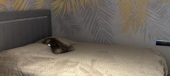 3غرفة شقة في Konakli, Turkey رقم 17238 11