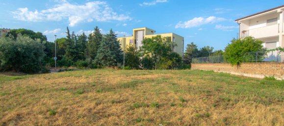 1-Zimmer Grundstück in Pescara, Italy, Nr. 266178 4