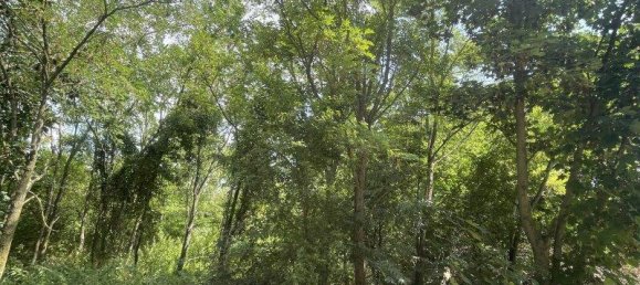 1837m² Land in Nickelsdorf, Austria No. 209093 3