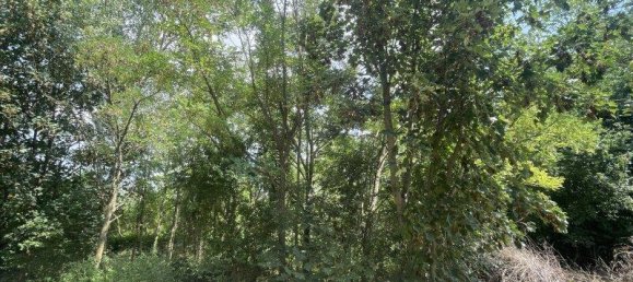 1837m² Land in Nickelsdorf, Austria No. 209093 2