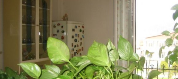 4 rooms Apartment in Cairo Montenotte, Italy No. 16739 24