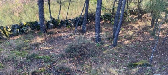 560m² Land in Viseu, Portugal No. 68570 24