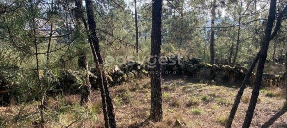 560m² Land in Viseu, Portugal No. 68570 25