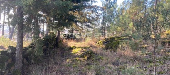 560m² Land in Viseu, Portugal No. 68570 27