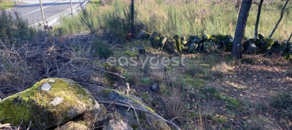 560m² Land in Viseu, Portugal No. 68570 23