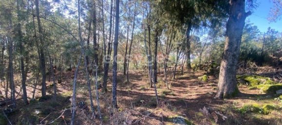 560m² Land in Viseu, Portugal No. 68570 18