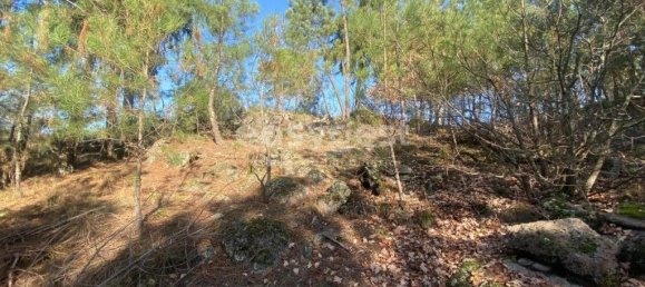 560m² Land in Viseu, Portugal No. 68570 19