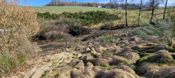 2 غرف نوم تاون هاوس في Altenkirchen, Germany رقم 145615 3