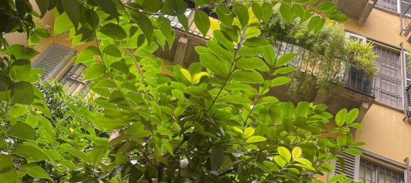 Büro in Milan, Italy 110m², Nr. 381423 4