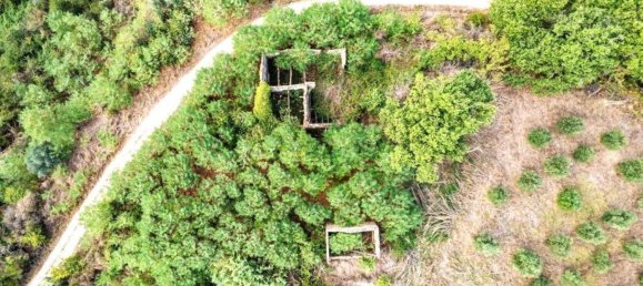 10 bedrooms House in Asciano, Italy No. 54150 8