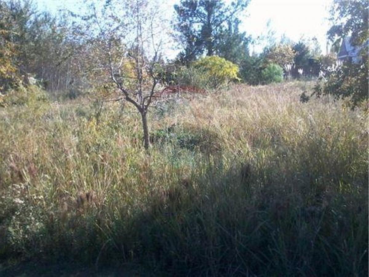 Grundstück in Santa Fe, Argentina, Nr. 33732