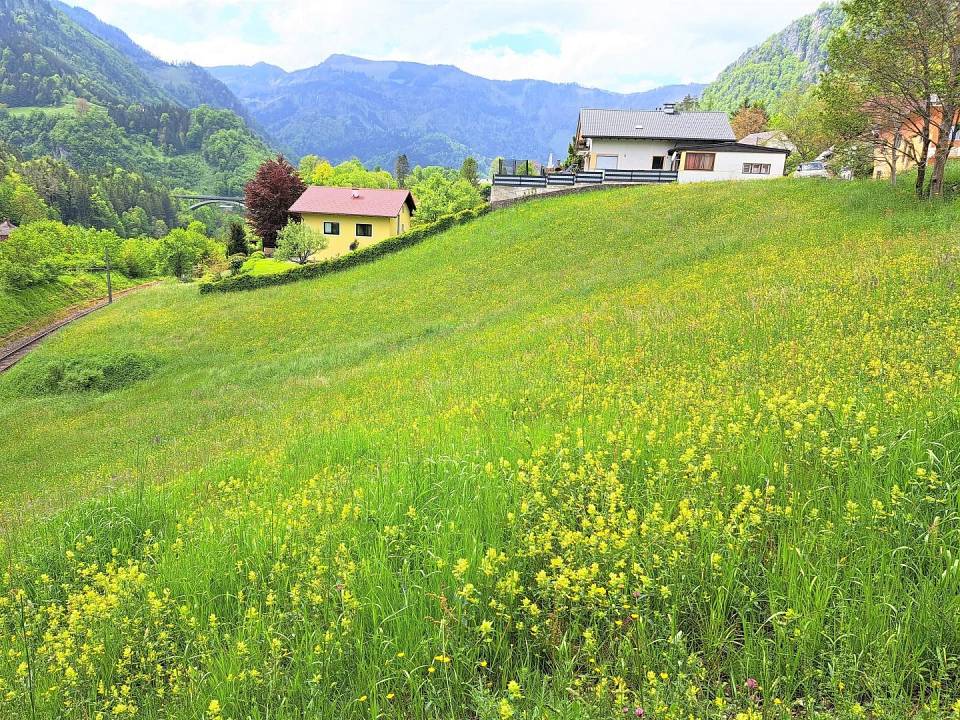 2986m² Land in Weyer, Austria No. 75746
