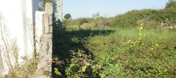 24589m² Land in Vila Nova de Gaia, Portugal No. 41745 12