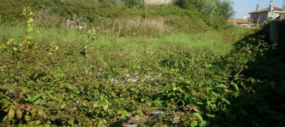 24589m² Land in Vila Nova de Gaia, Portugal No. 41745 8