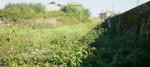 24589m² Land in Vila Nova de Gaia, Portugal No. 41745 10