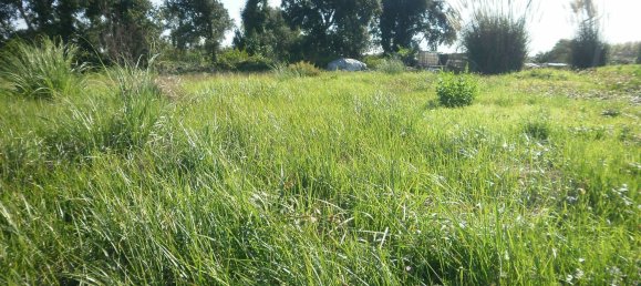 24589m² Land in Vila Nova de Gaia, Portugal No. 41745 9