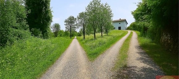 7 bedrooms Villa in Villarbasse, Italy No. 329718 29