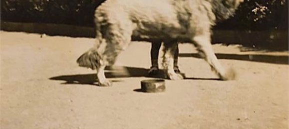 7 bedrooms Villa in Villarbasse, Italy No. 329718 43