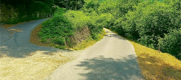 7 bedrooms Villa in Villarbasse, Italy No. 329718 19