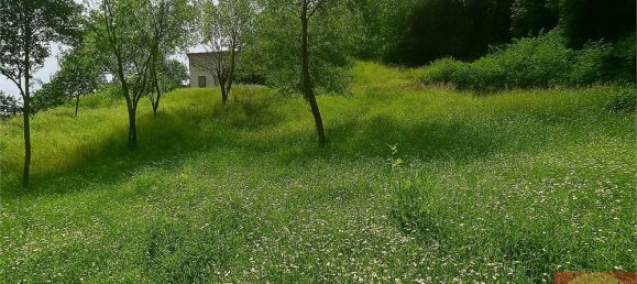 7 bedrooms Villa in Villarbasse, Italy No. 329718 30