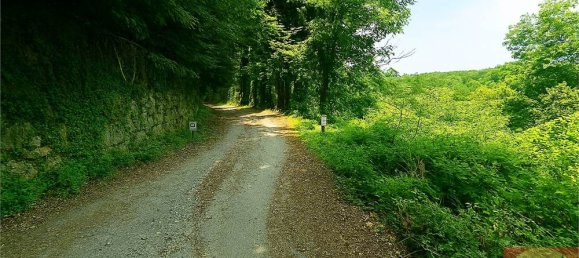 7 bedrooms Villa in Villarbasse, Italy No. 329718 21