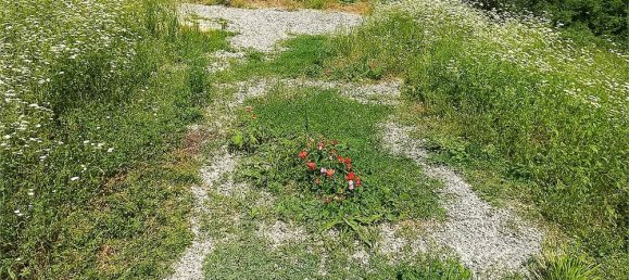 7 bedrooms Villa in Villarbasse, Italy No. 329718 36