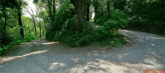 7 bedrooms Villa in Villarbasse, Italy No. 329718 25