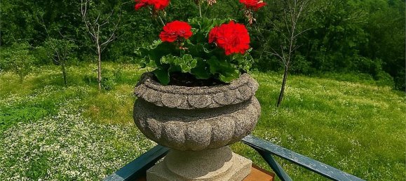 7 bedrooms Villa in Villarbasse, Italy No. 329718 45