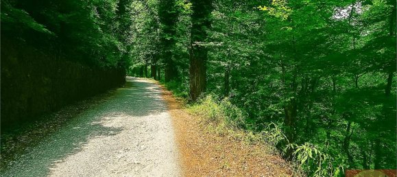 7 bedrooms Villa in Villarbasse, Italy No. 329718 22