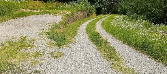 7 bedrooms Villa in Villarbasse, Italy No. 329718 35