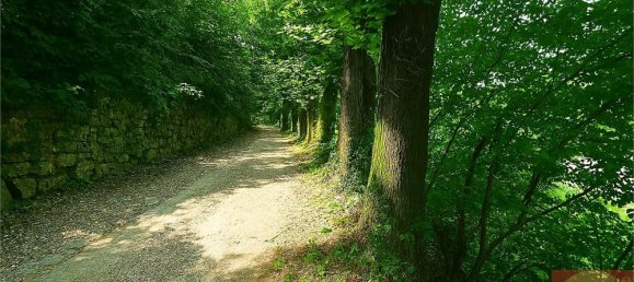 7 bedrooms Villa in Villarbasse, Italy No. 329718 23