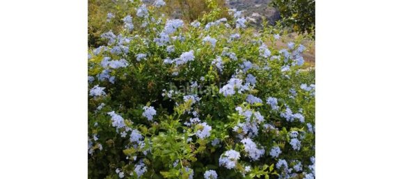 4 bedrooms House in Comares, Spain No. 144837 13