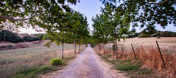 Casa T4 em Jimena de la Frontera, Spain N.º 179463 6