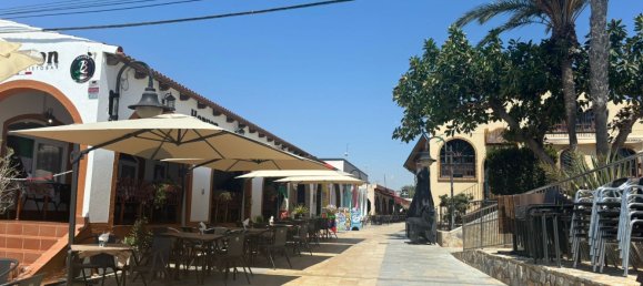 3 bedrooms Bungalow in Pilar de la Horadada, Spain No. 14932 15