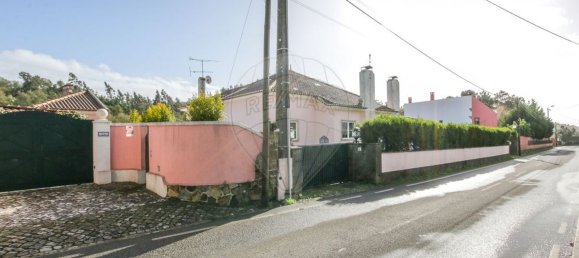 1 Schlafzimmer Haus in Sintra, Portugal, Nr. 67590 48