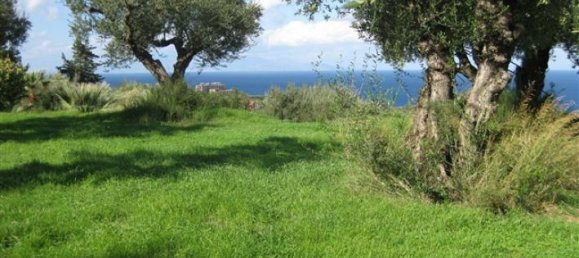 Terra em Zakynthos, Greece N.º 625 3