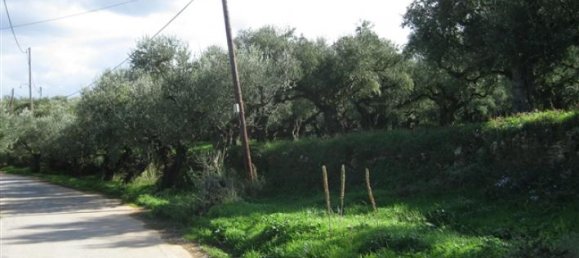Terra em Zakynthos, Greece N.º 625 2