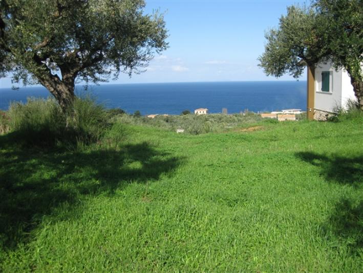 Terra em Zakynthos, Greece N.º 625