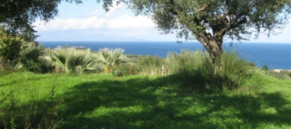 Terra em Zakynthos, Greece N.º 625 4