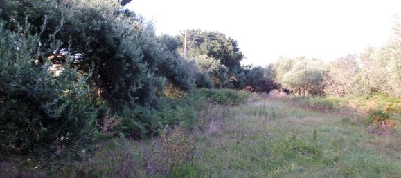 6409m² Hotel in Corfu, Greece No. 5571 5